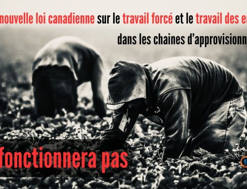 La nouvelle loi canadienne sur le travail forcé et le travail des enfants dans les chaînes d’approvisionnement ne fonctionnera pas