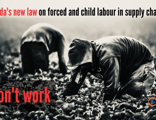 Canada’s new law on forced and child labour in supply chains won’t work