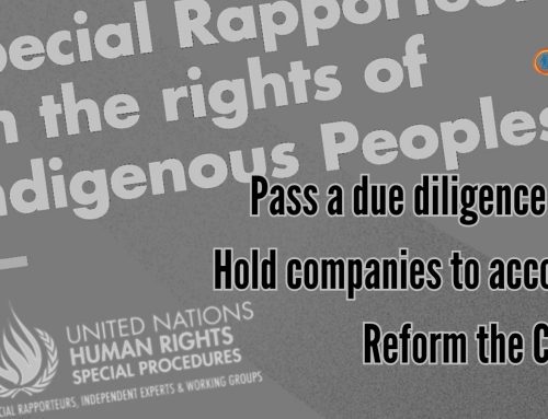 UN expert says Canada should hold its transnational corporations accountable for violations of Indigenous Peoples’ human rights worldwide